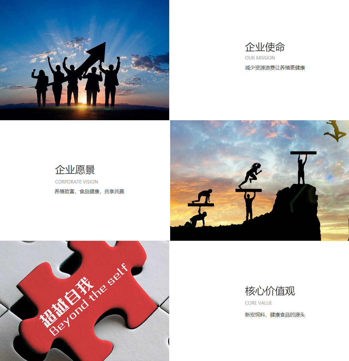 正规beat365旧版绿色(图1)